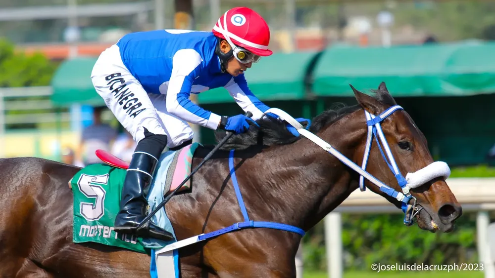 WhatsApp Image 2023-12-03 at 3.35.48 PM