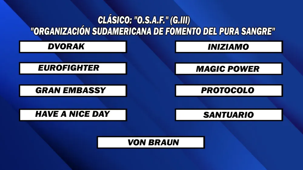 WhatsApp Image 2025-06-16 at 13.53.49 (2)