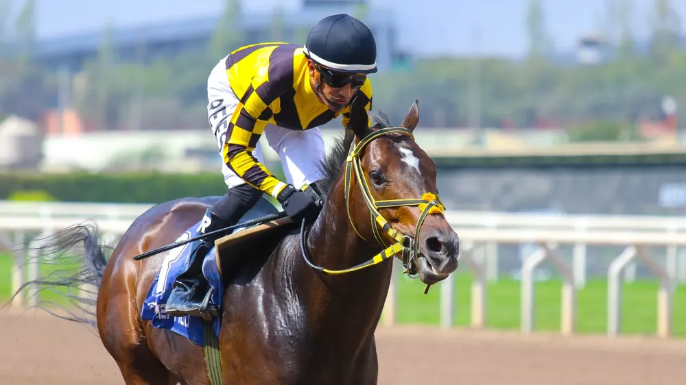 WhatsApp Image 2023-10-30 at 2.51.08 PM