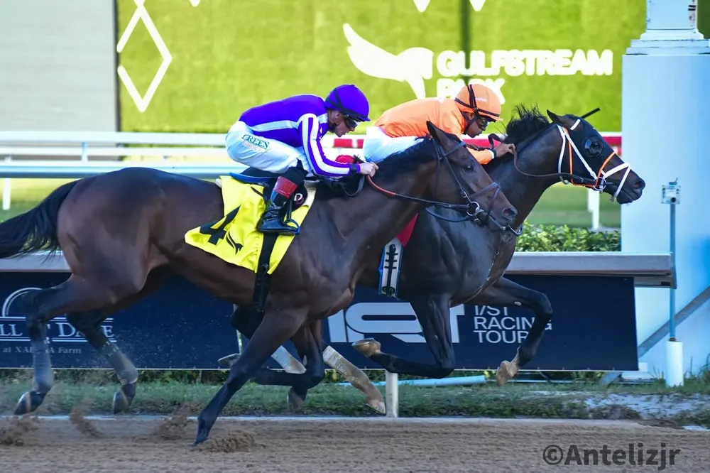 WhatsApp Image 2025-01-04 at 18.19.27