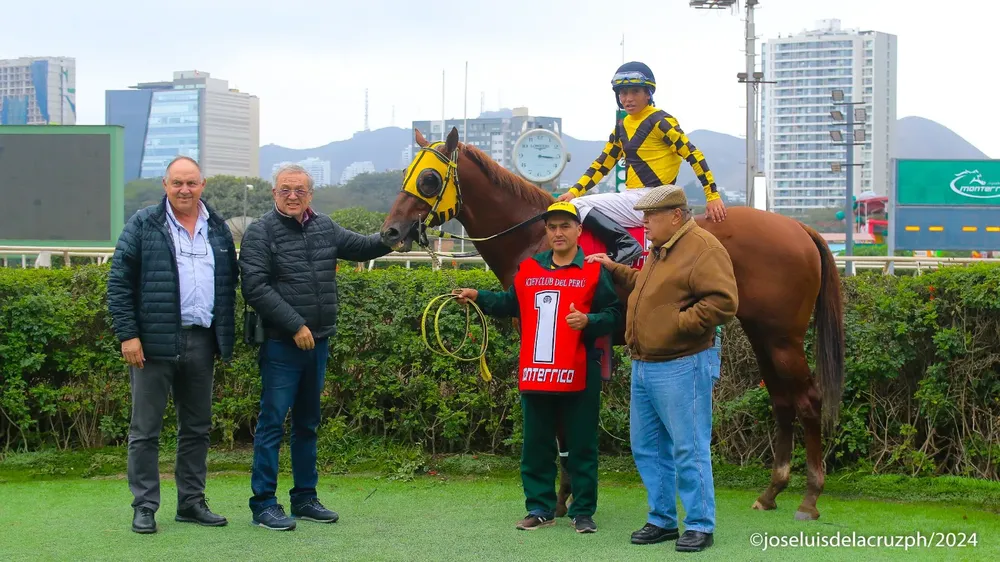 WhatsApp Image 2024-07-01 at 15.17.22