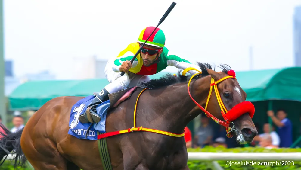 WhatsApp Image 2023-11-19 at 1.25.26 PM