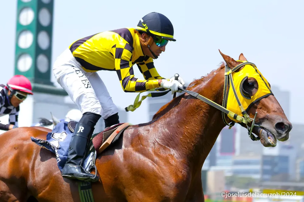 WhatsApp Image 2024-10-13 at 09.05.00