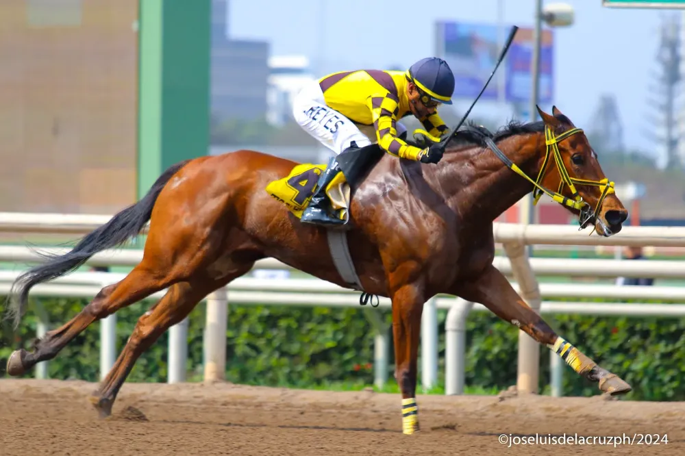 WhatsApp Image 2024-09-09 at 10.39.28