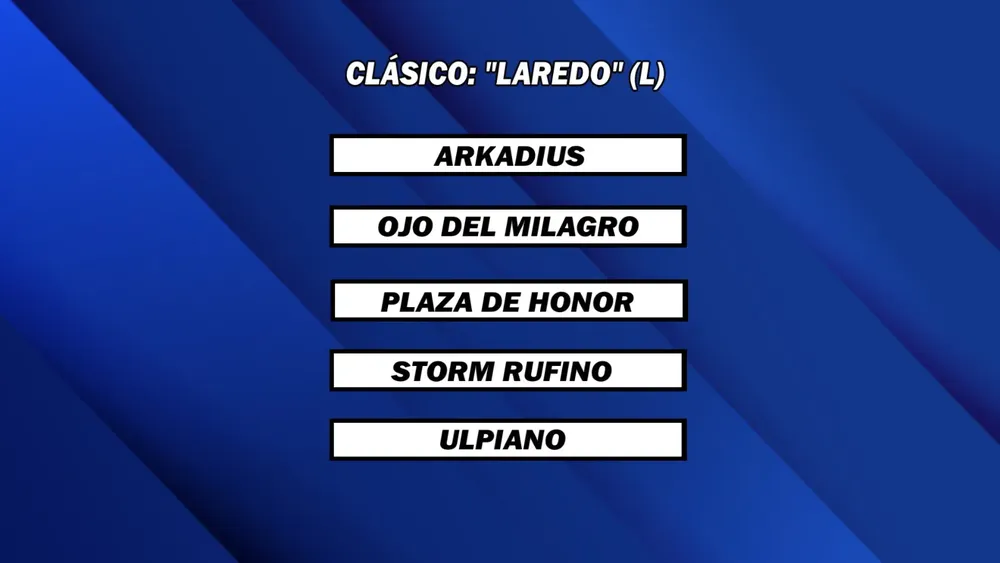 WhatsApp Image 2024-12-16 at 14.08.56