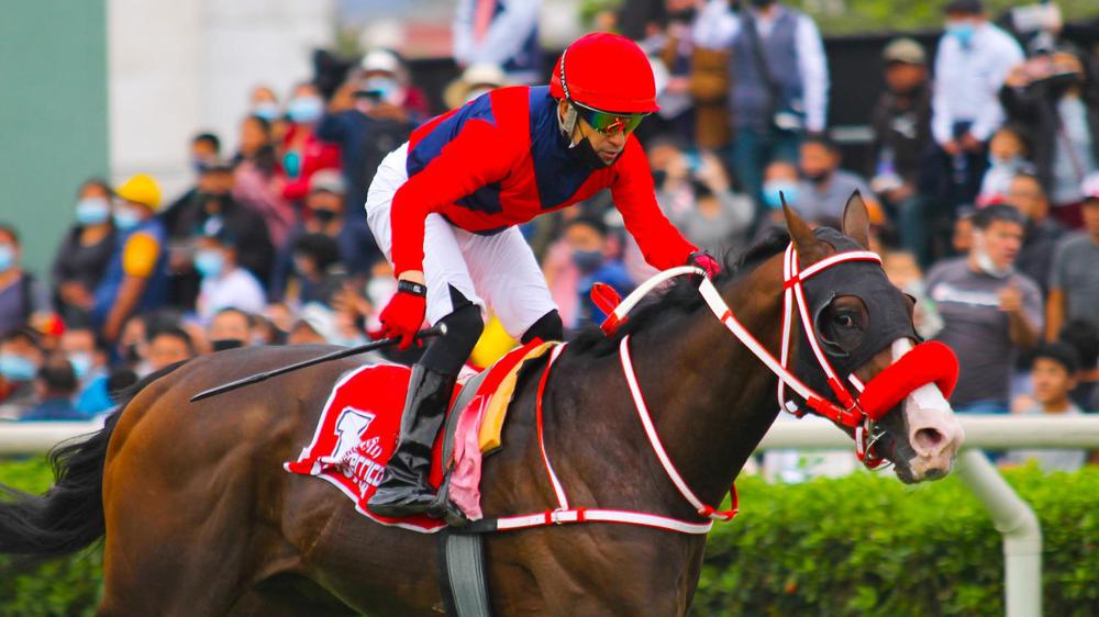 WhatsApp Image 2023-07-20 at 5.16.12 PM