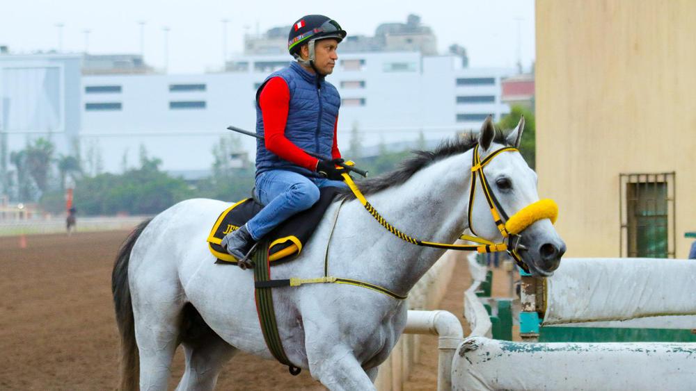 WhatsApp Image 2023-08-08 at 11.42.31 AM