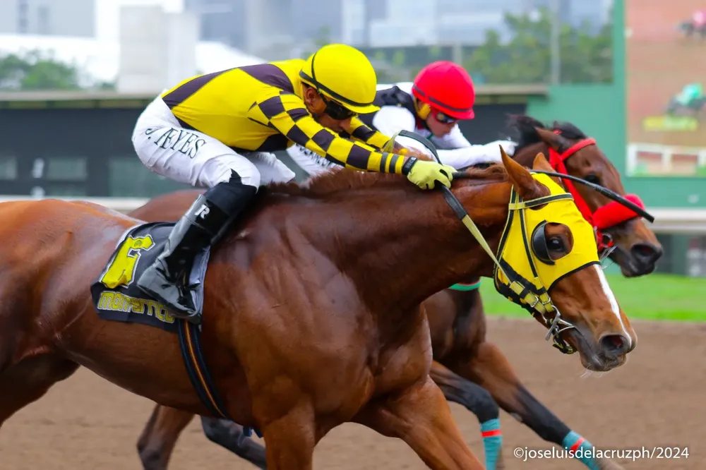 WhatsApp Image 2024-09-20 at 17.34.29