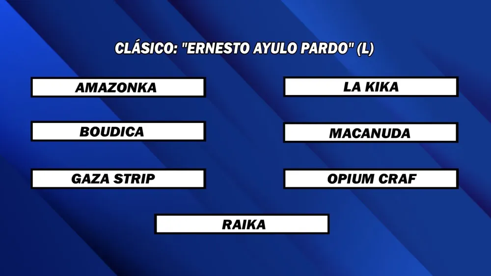 WhatsApp Image 2025-04-07 at 14.03.11