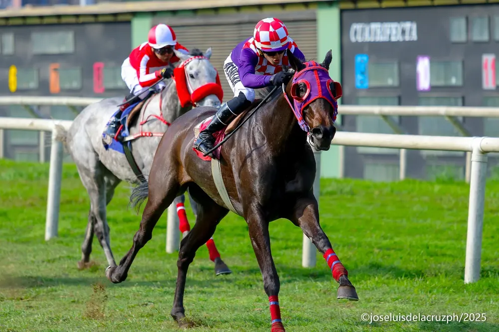 WhatsApp Image 2025-10-11 at 4.11.52 PM