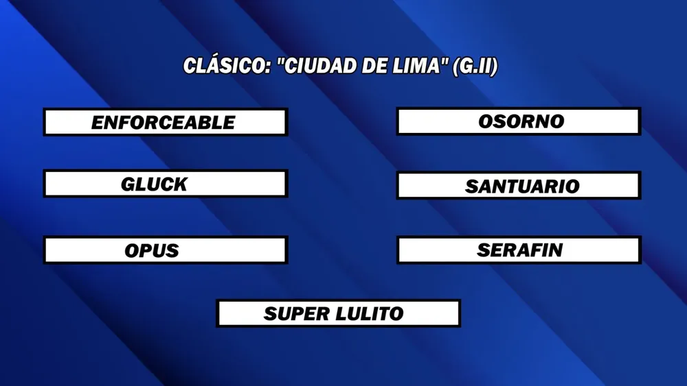 WhatsApp Image 2026-01-12 at 2.17.50 PM (1)