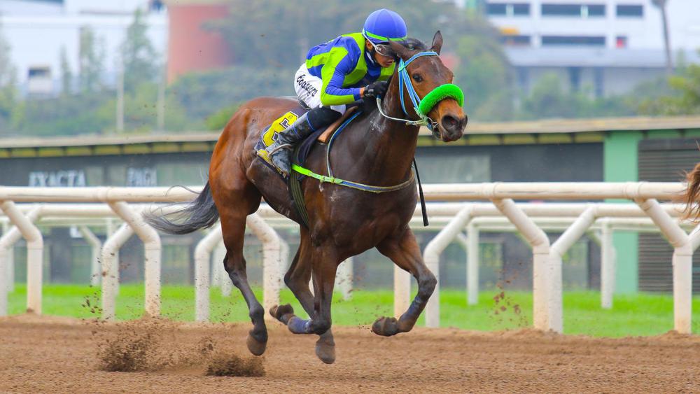 WhatsApp Image 2023-07-23 at 2.43.49 PM