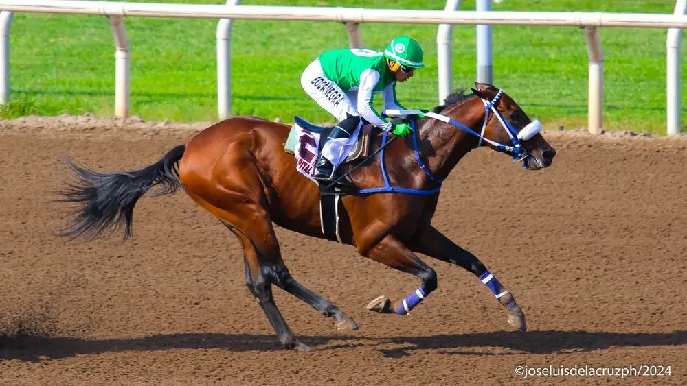 WhatsApp Image 2024-05-04 at 15.40.31