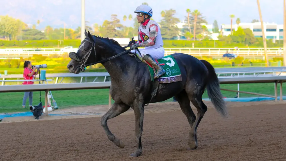 WhatsApp Image 2023-11-07 at 6.28.23 PM