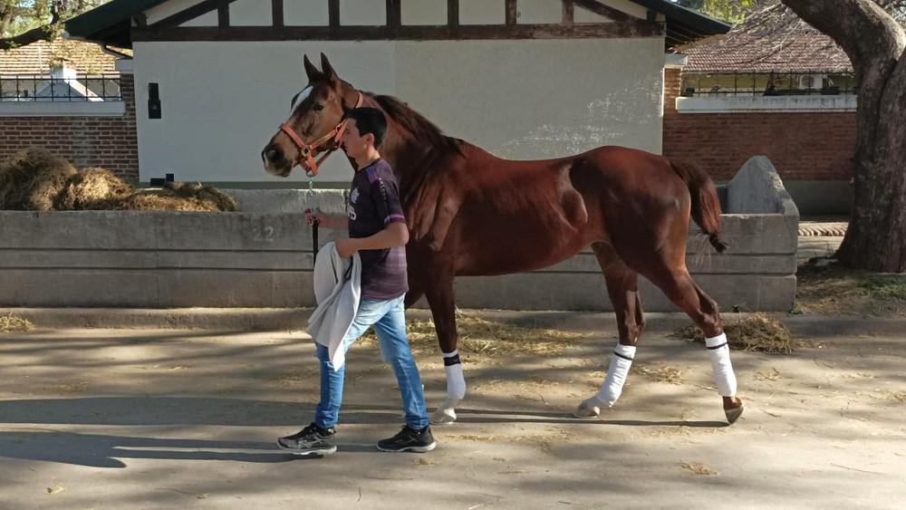 384740591_10231468017994174_165602353092219179_n