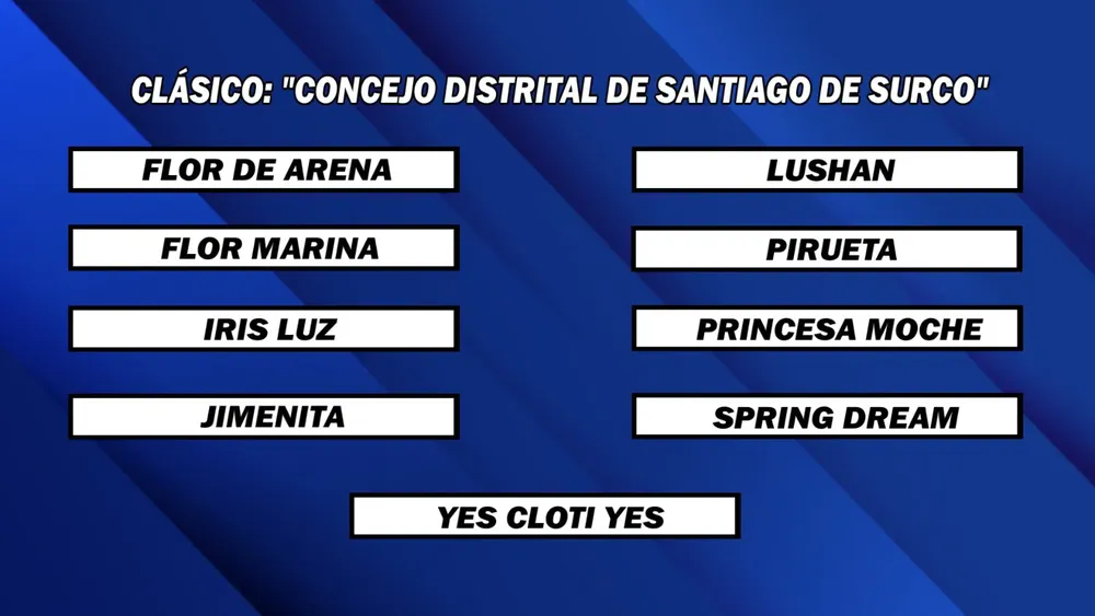 WhatsApp Image 2024-12-02 at 14.17.19