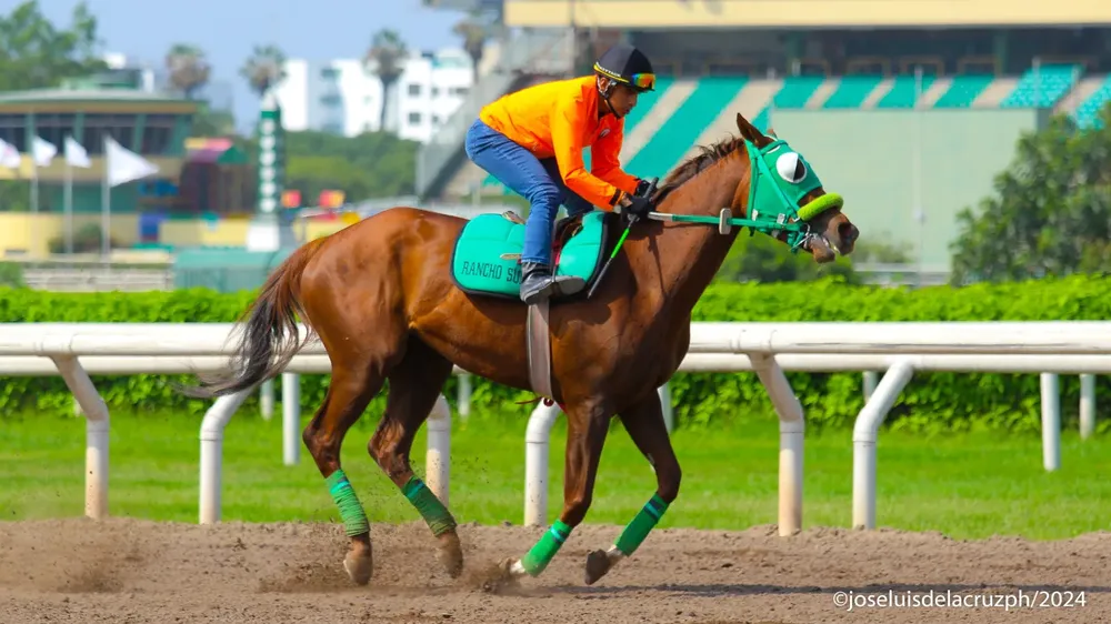 WhatsApp Image 2024-01-09 at 11.55.28 AM