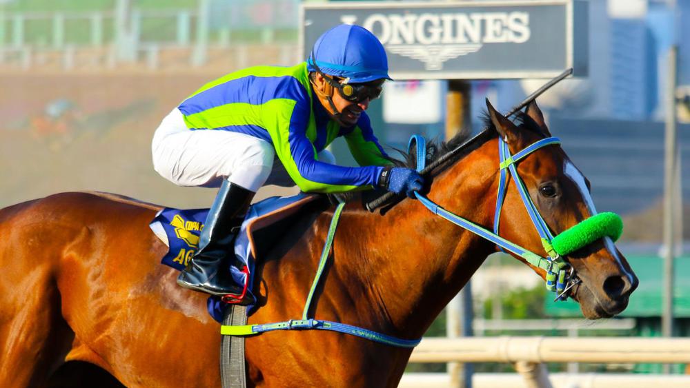 WhatsApp Image 2023-08-29 at 6.51.57 PM