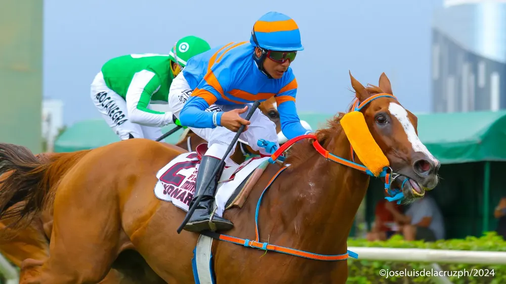 WhatsApp Image 2024-02-03 at 4.27.53 PM