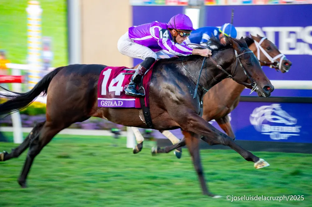 WhatsApp Image 2025-10-31 at 6.02.12 PM