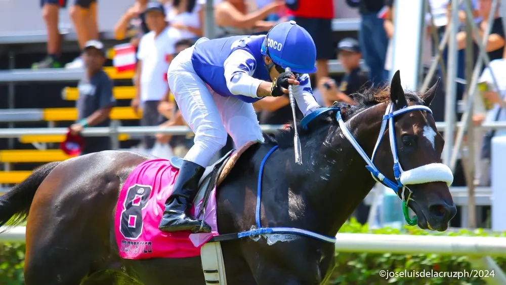 WhatsApp Image 2024-04-14 at 13.01.03