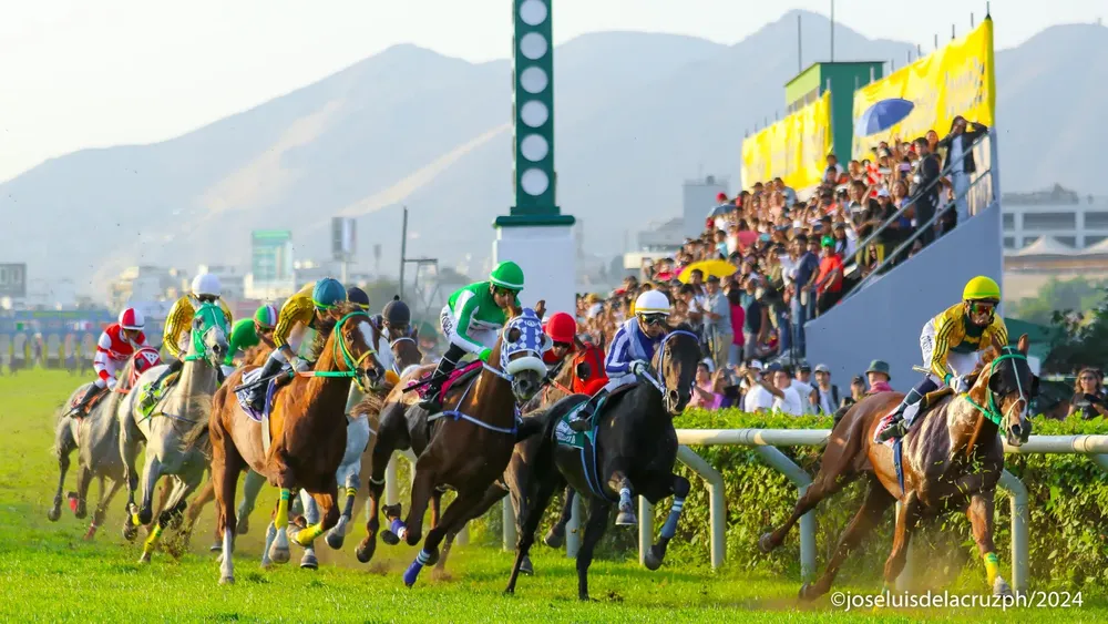 WhatsApp Image 2024-06-14 at 13.43.25