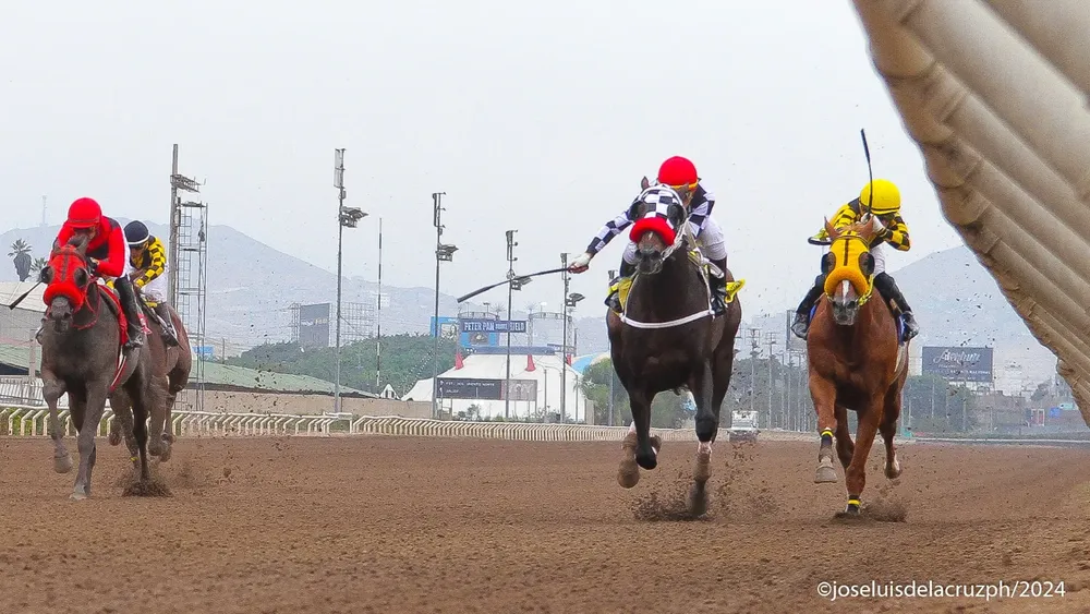 WhatsApp Image 2024-06-02 at 16.07.24