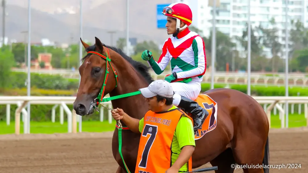 WhatsApp Image 2024-05-08 at 17.10.57