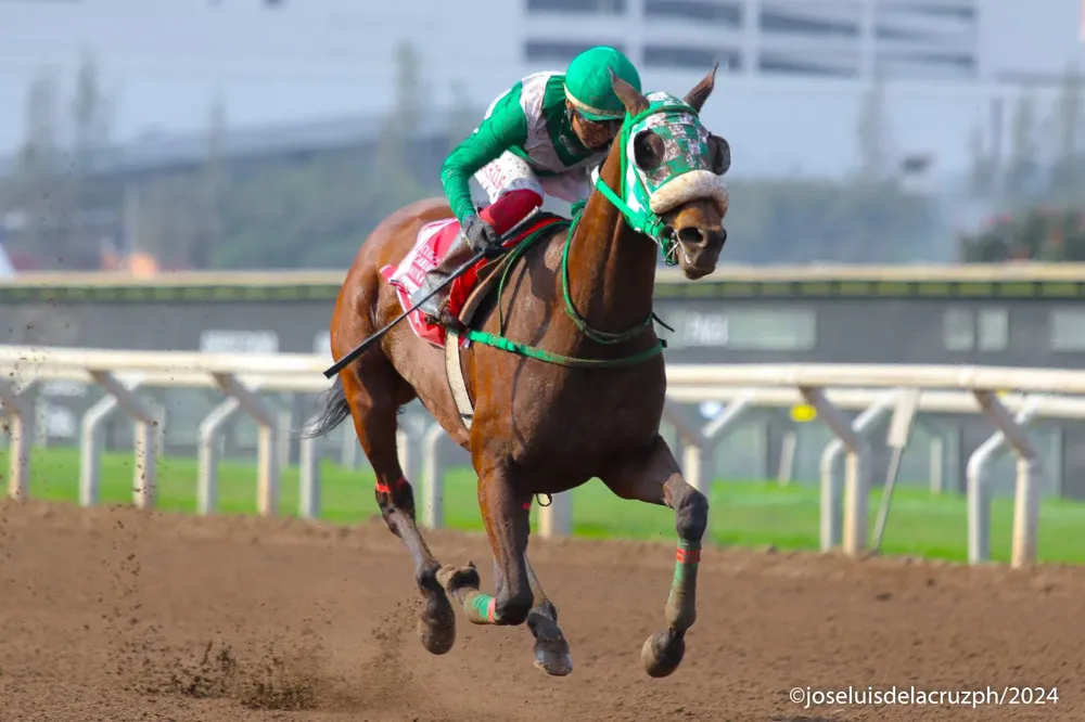 WhatsApp Image 2024-09-22 at 11.07.09