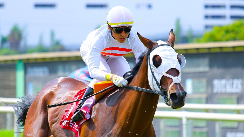 WhatsApp Image 2023-07-23 at 7.45.59 AM