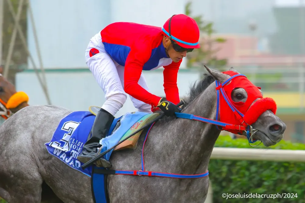 WhatsApp Image 2024-08-11 at 10.27.32