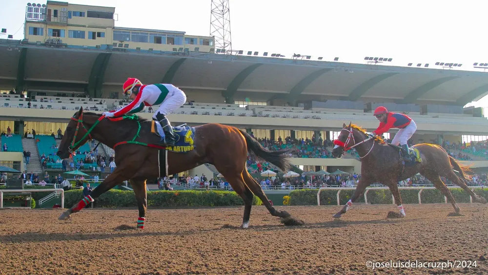 WhatsApp Image 2024-06-09 at 16.19.46