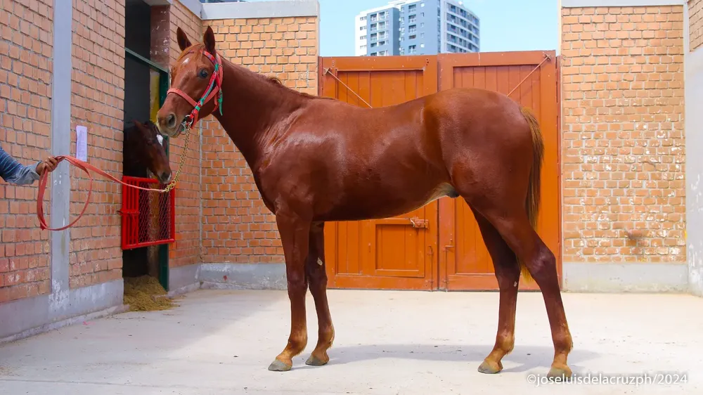 WhatsApp Image 2024-05-16 at 12.14.31