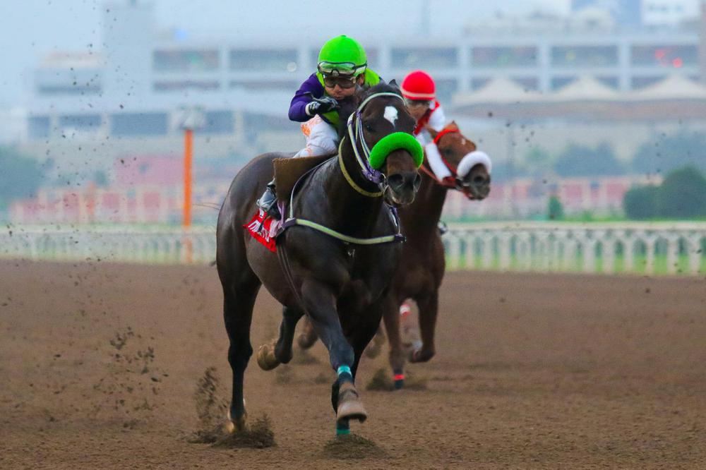 WhatsApp Image 2023-07-08 at 10.57.13 AM