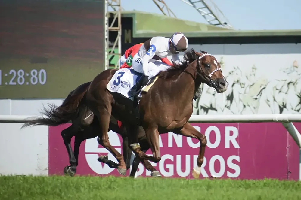 WhatsApp Image 2025-12-13 at 4.35.18 PM