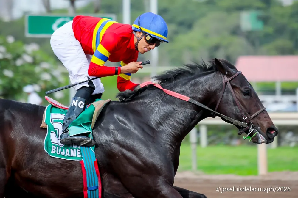 Bujamero - Foto: José Luis De La Cruz