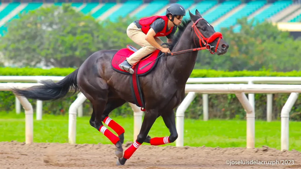 WhatsApp Image 2023-12-26 at 11.13.49 AM