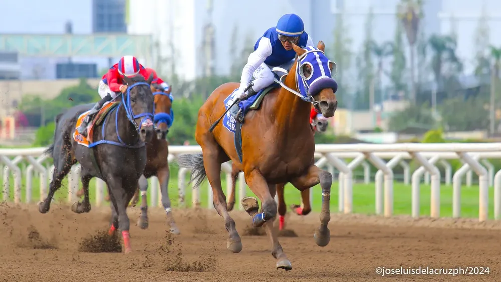 WhatsApp Image 2024-02-04 at 4.04.55 PM