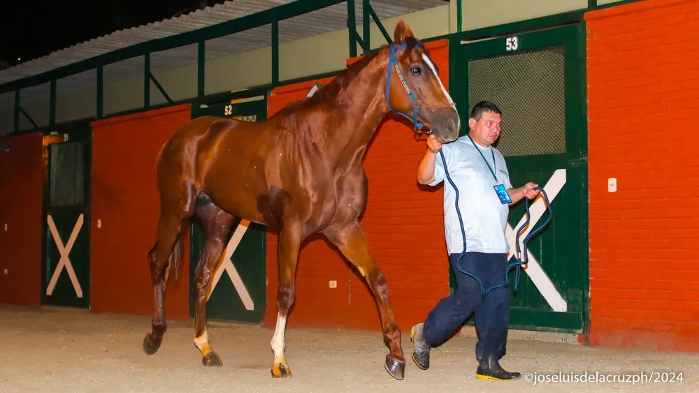 WhatsApp Image 2024-04-07 at 22.10.50 (1)