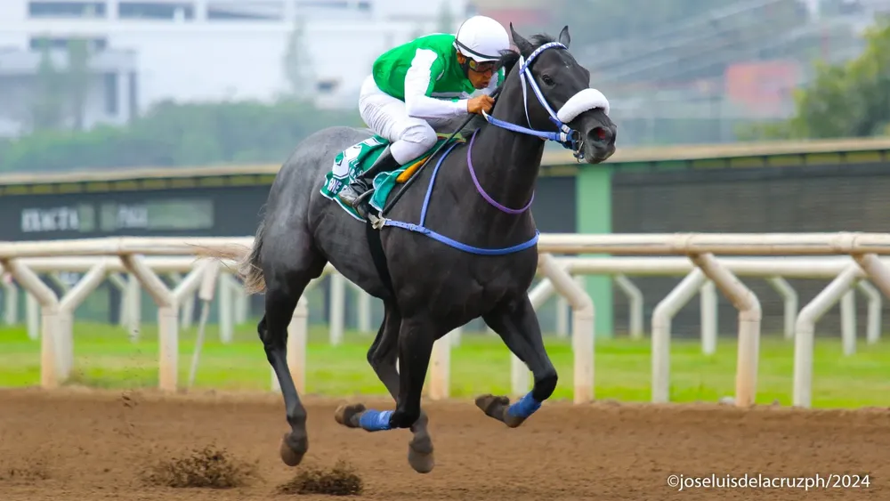 WhatsApp Image 2024-05-26 at 15.55.01