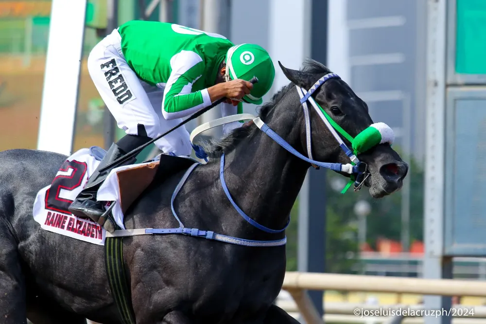 WhatsApp Image 2024-08-26 at 13.00.07