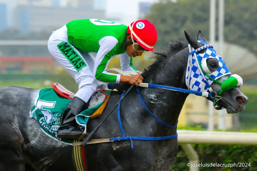 WhatsApp Image 2024-08-25 at 10.17.50