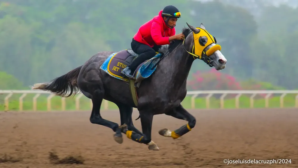 WhatsApp Image 2024-05-20 at 10.07.19