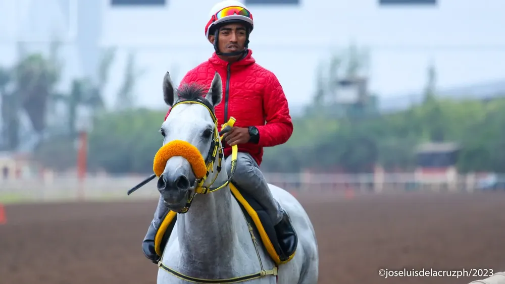 WhatsApp Image 2023-11-29 at 12.03.05 PM