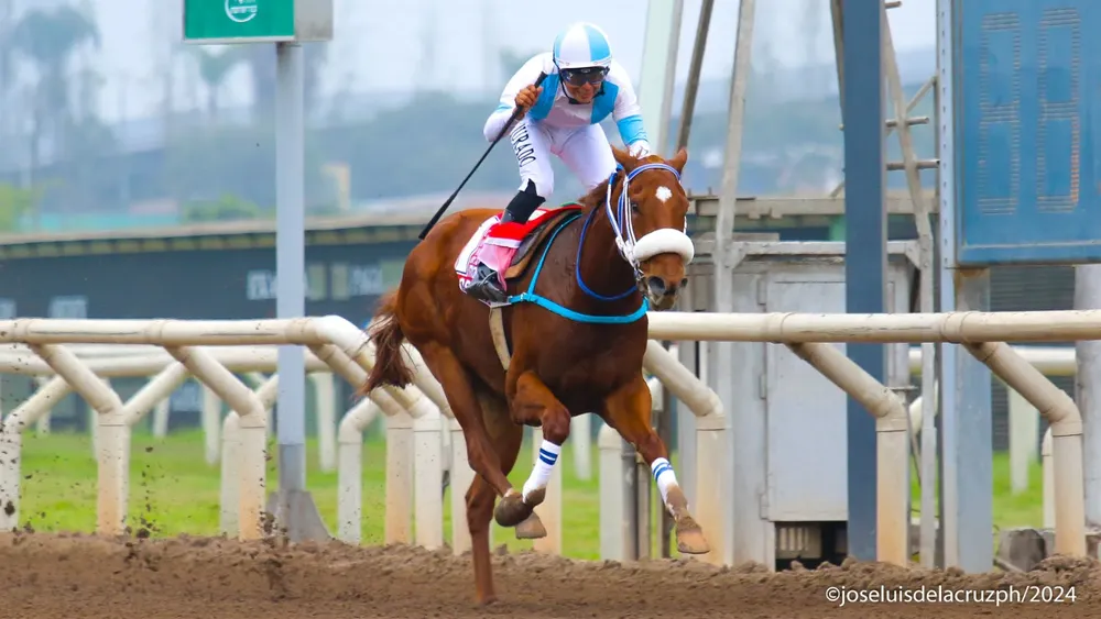 WhatsApp Image 2024-05-19 at 16.21.23