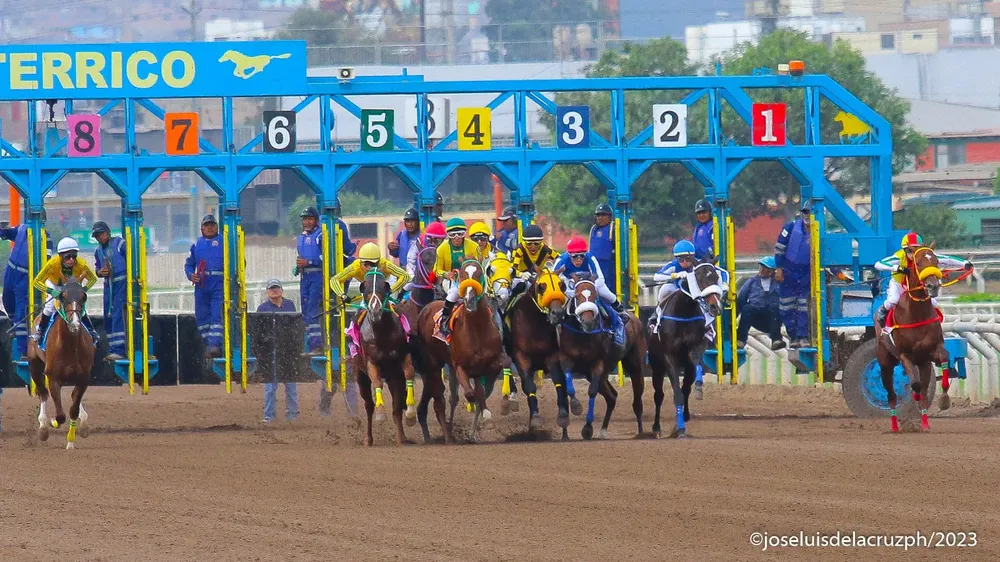 WhatsApp Image 2023-12-25 at 9.59.59 AM