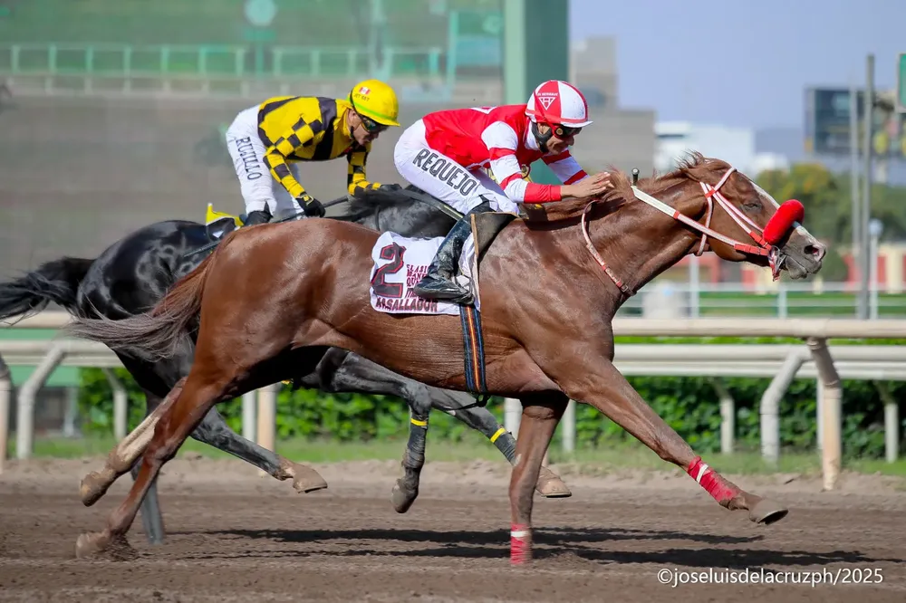 WhatsApp Image 2025-12-13 at 4.14.34 PM