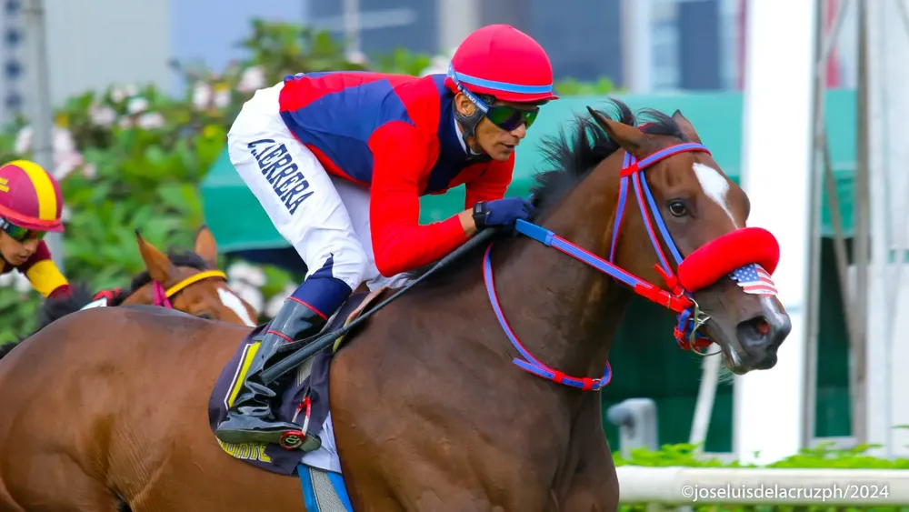 WhatsApp Image 2024-02-11 at 4.08.19 PM