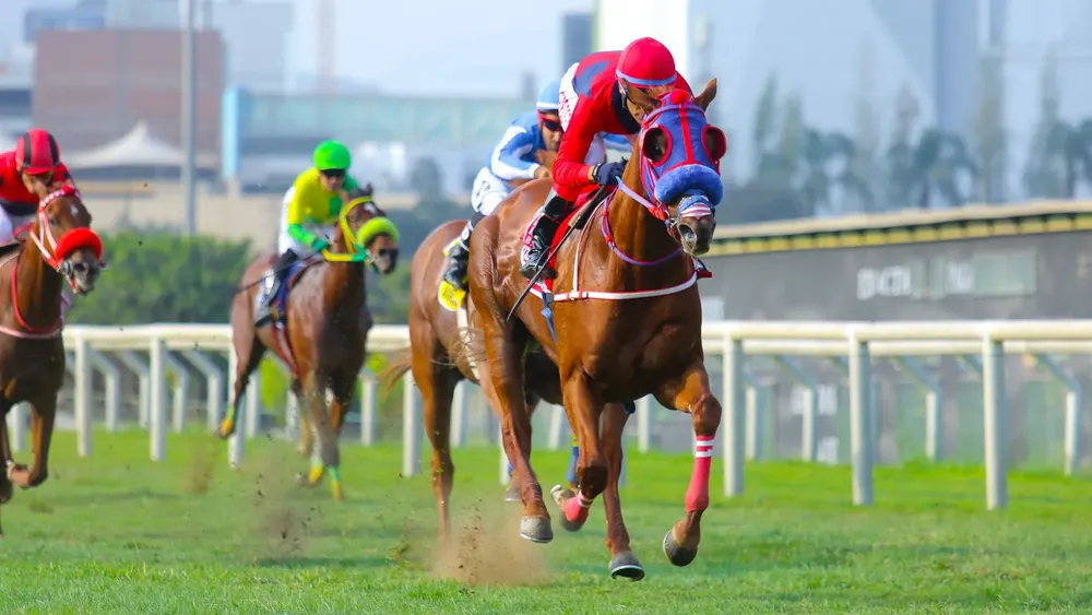 WhatsApp Image 2023-10-22 at 4.36.57 PM