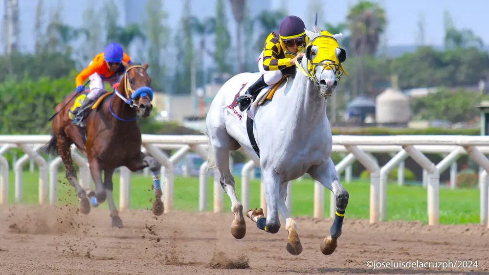 WhatsApp Image 2024-02-23 at 1.59.23 PM